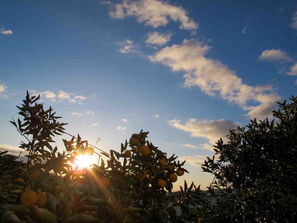 63歳になりました